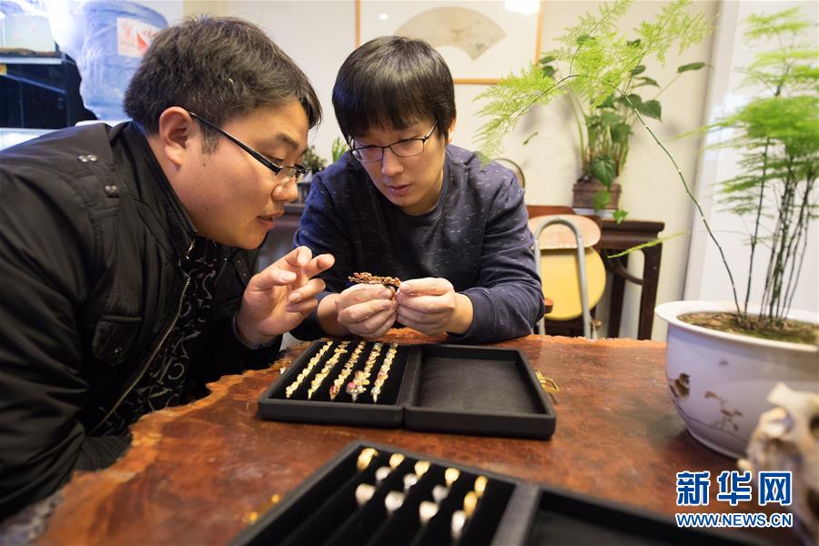 (圖片故事)(4)設計首飾 傳承匠心