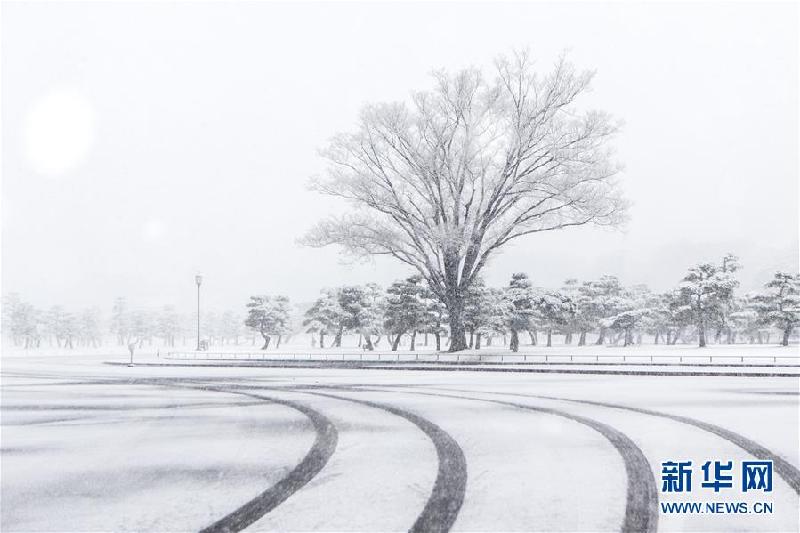 （國(guó)際）（2）東京迎初雪