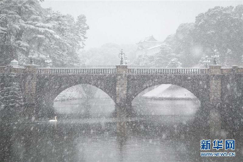 （國際）（3）東京迎初雪