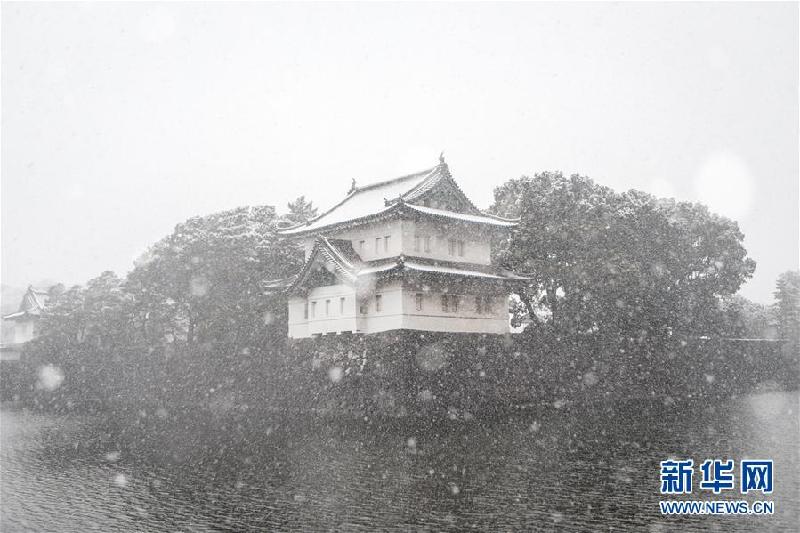 （國際）（4）東京迎初雪