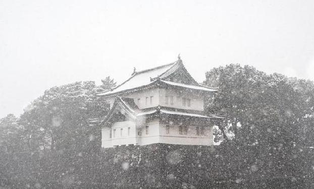 （國(guó)際）（4）東京迎初雪