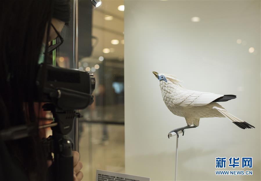(文化)(3)“鳥語花香:紙雕藝術展”將在香港舉行