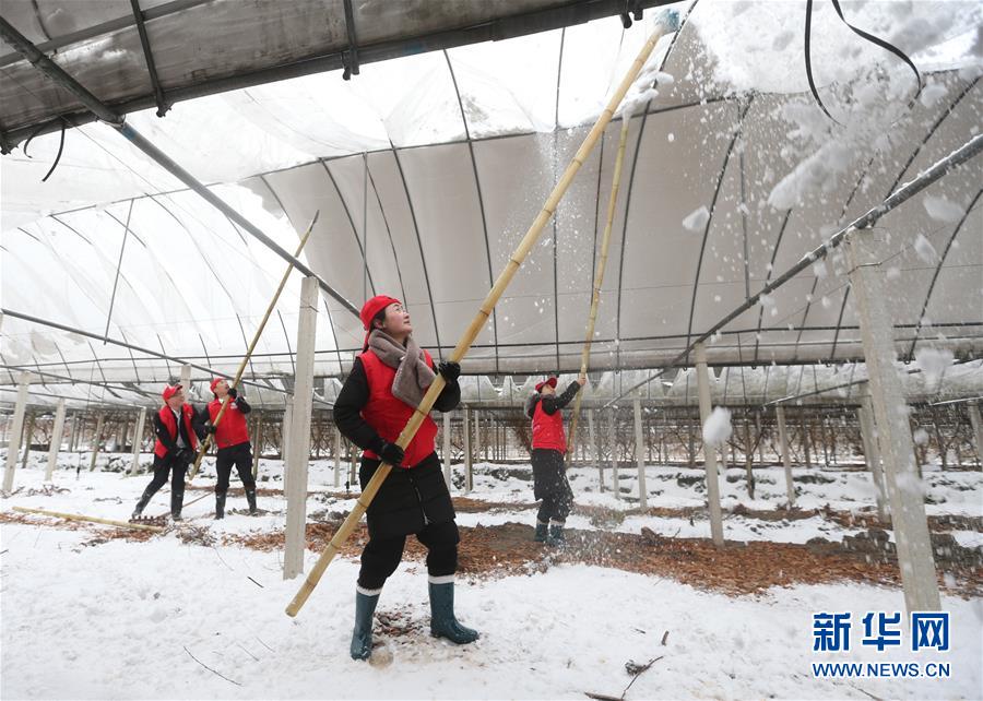 #(社會)(8)除冰掃雪保安全