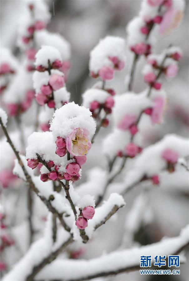 #(環境)(6)強冷空氣繼續影響我國中東部地區 多地降雪