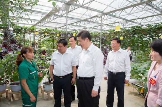 2015年6月16日下午，習(xí)近平在遵義縣楓香鎮(zhèn)花茂村的現(xiàn)代高效農(nóng)業(yè)智能溫控大棚，向正在勞動的村民了解增收致富情況。新華社記者 黃敬文　攝
