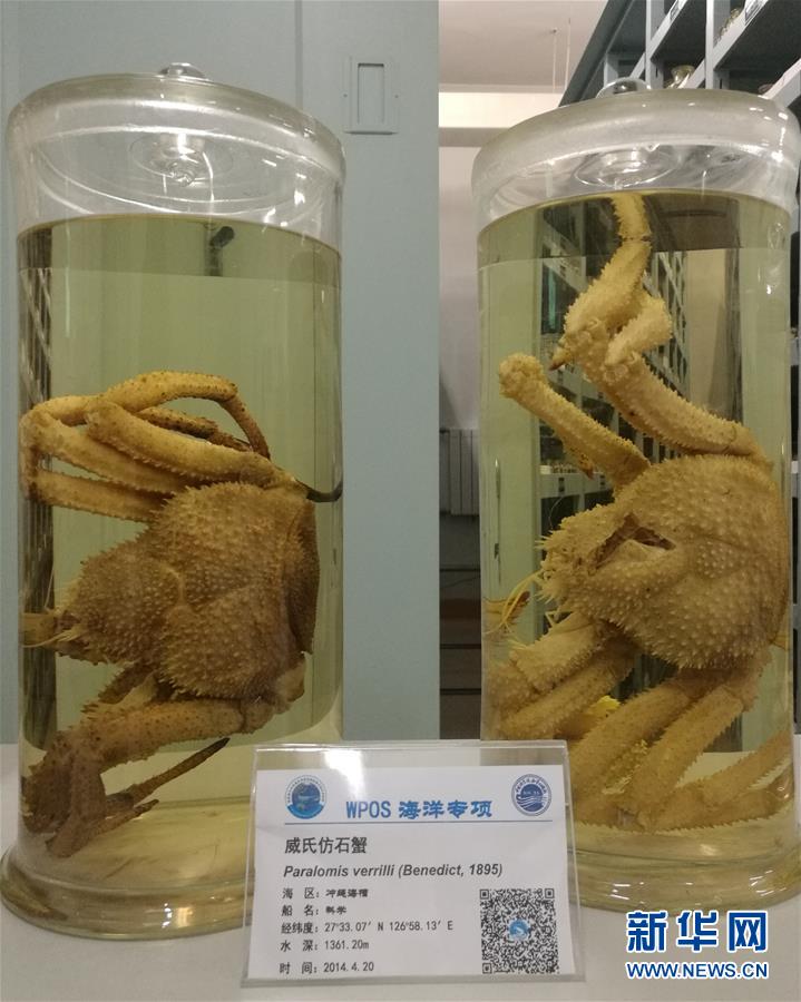 (新華全媒頭條·圖文互動)(7)“蛟龍”從這里出發——國家深海基地“探密”