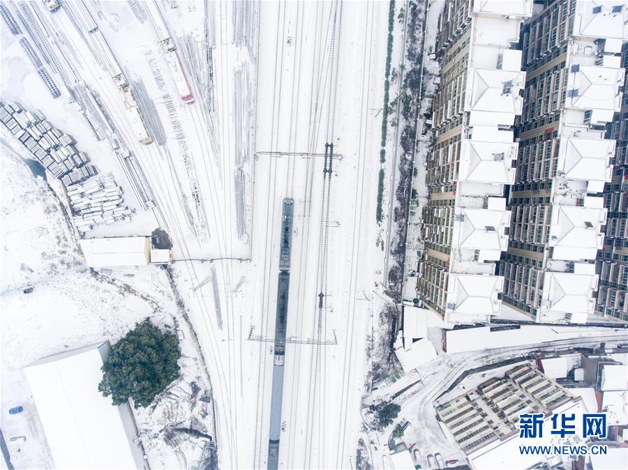 #(環境)(6)雪后“幾何”之美
