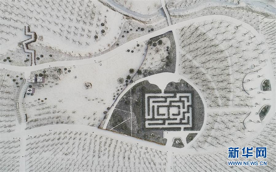 #(環境)(8)雪后“幾何”之美
