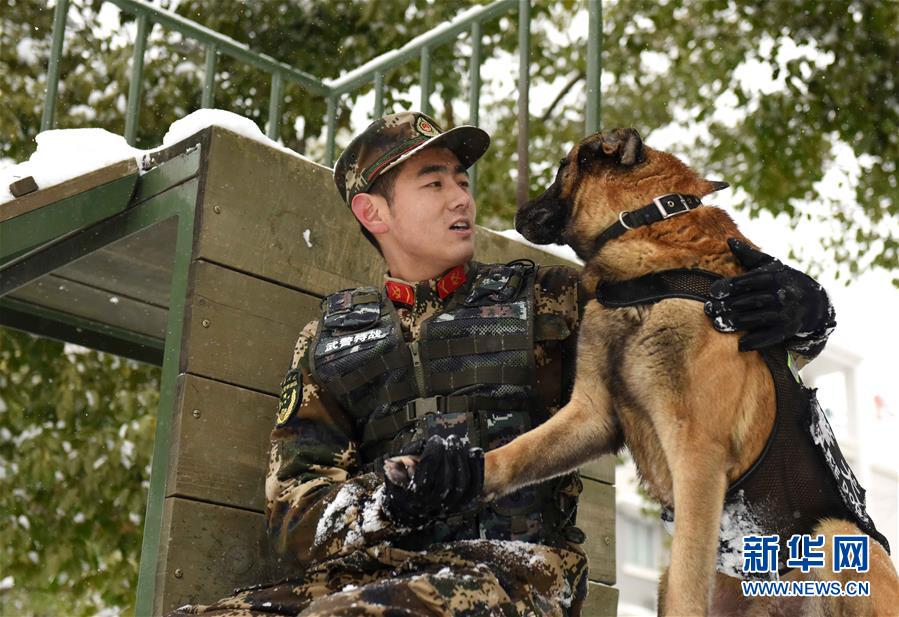#(圖片故事)(6)萌犬·奇兵·戰友