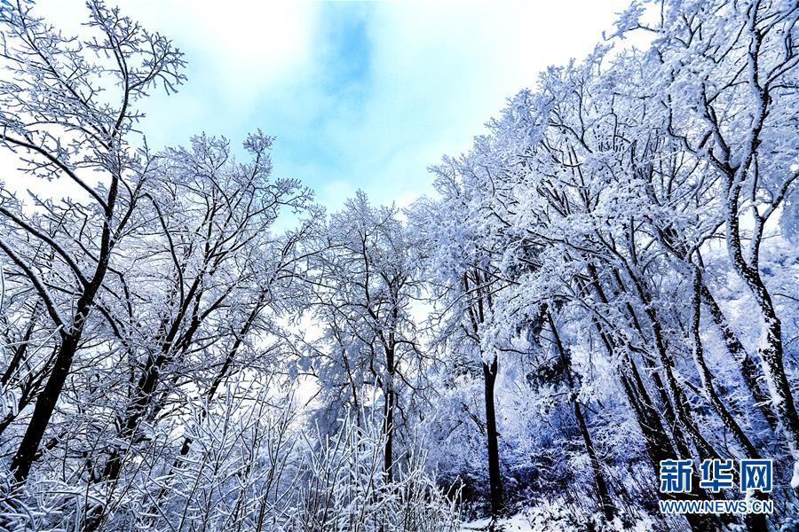 (環境)(2)雪后初霽紫柏山