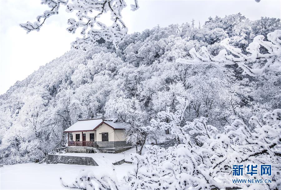 (環境)(3)雪后初霽紫柏山