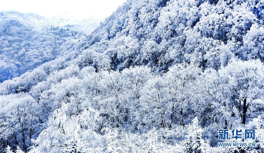 (環境)(4)雪后初霽紫柏山