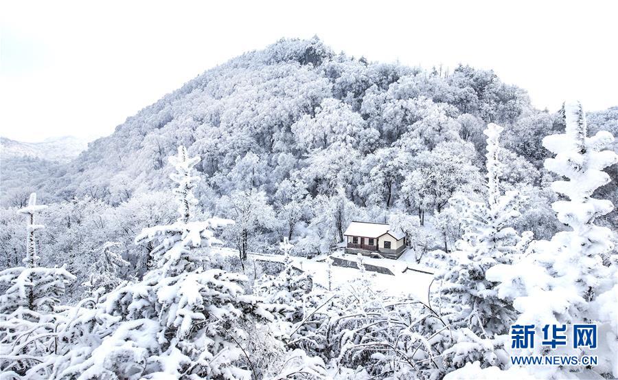 (環境)(5)雪后初霽紫柏山