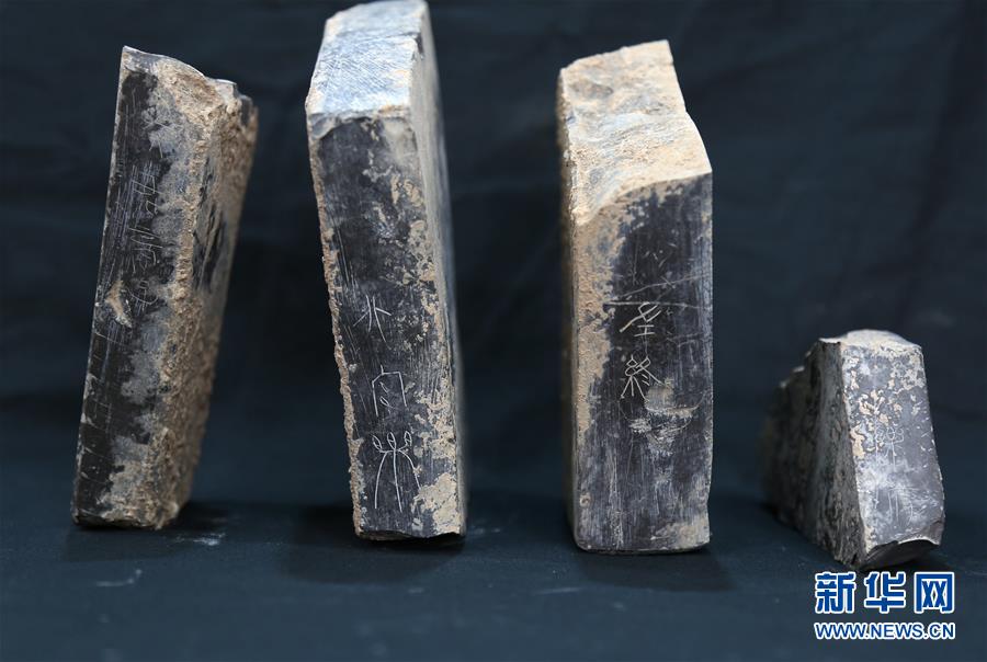 (文化)(3)陜西首次發現秦代大型國家府庫遺址