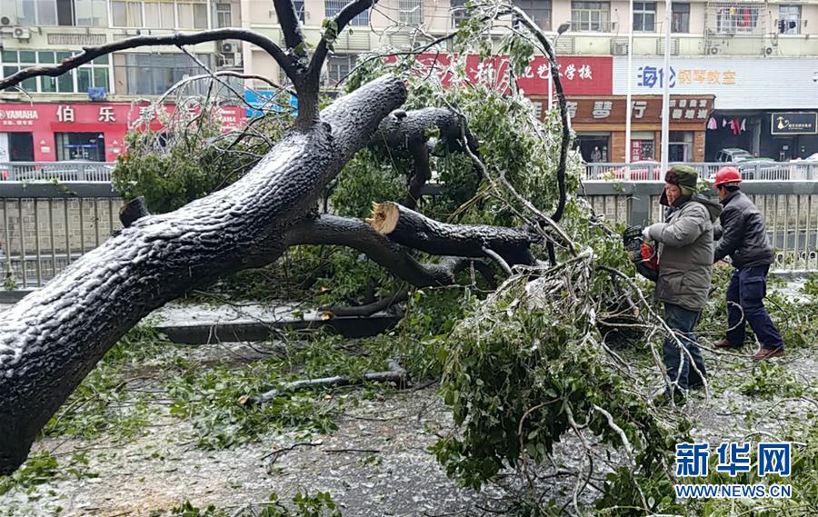 (新華全媒頭條)(7)雨雪冰凍中,他們奮力前行——基層黨員干群抗擊冰雪災害紀實