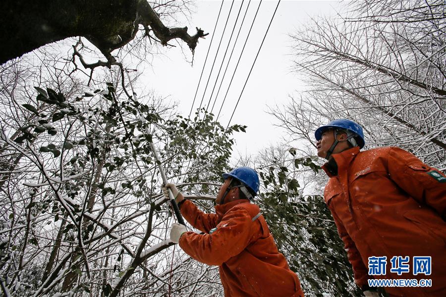 (新華全媒頭條)(8)雨雪冰凍中,他們奮力前行——基層黨員干群抗擊冰雪災害紀實