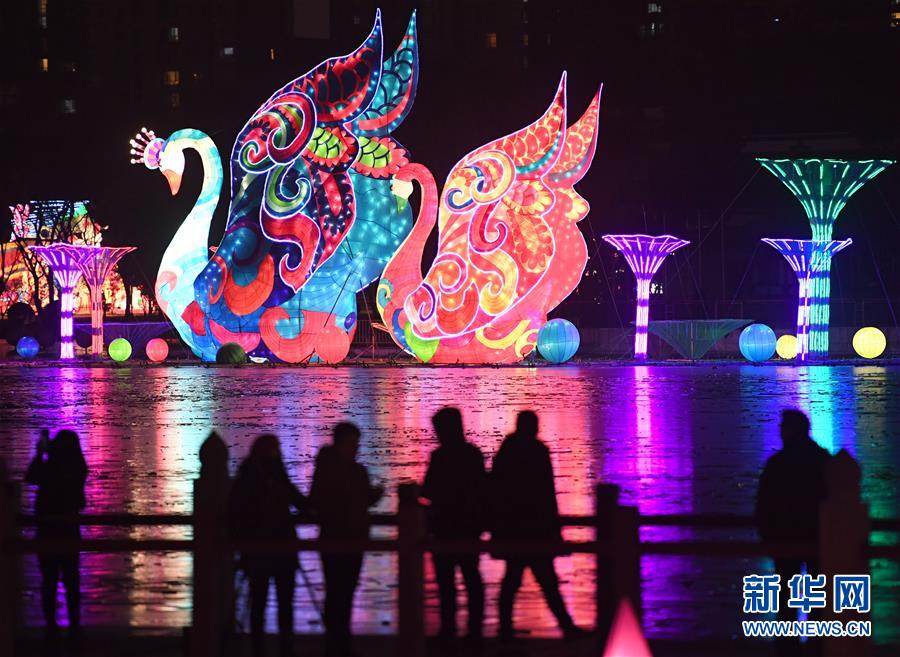 （社會(huì)）（2）花燈璀璨迎新春