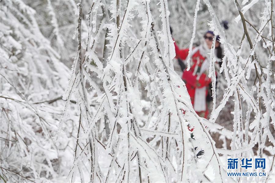 #（環境）（1）貴陽云霧山雪景醉游人