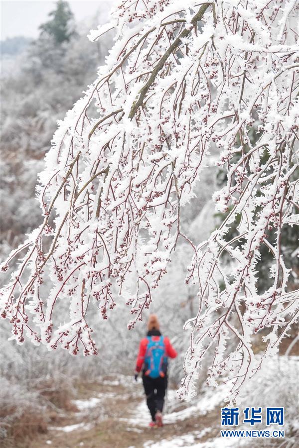#（環(huán)境）（2）貴陽(yáng)云霧山雪景醉游人