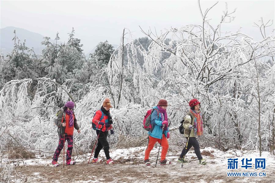 #（環(huán)境）（3）貴陽(yáng)云霧山雪景醉游人
