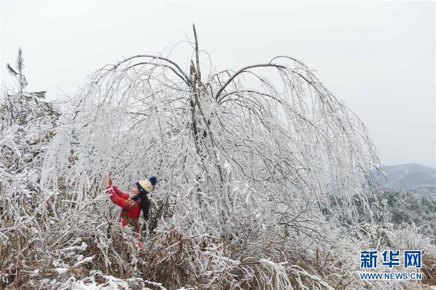 #（環(huán)境）（4）貴陽(yáng)云霧山雪景醉游人