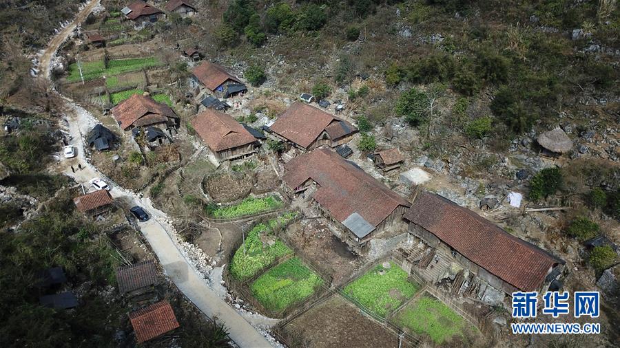 (新華全媒頭條·圖文互動)(8)“直過民族”瑤山再跨越