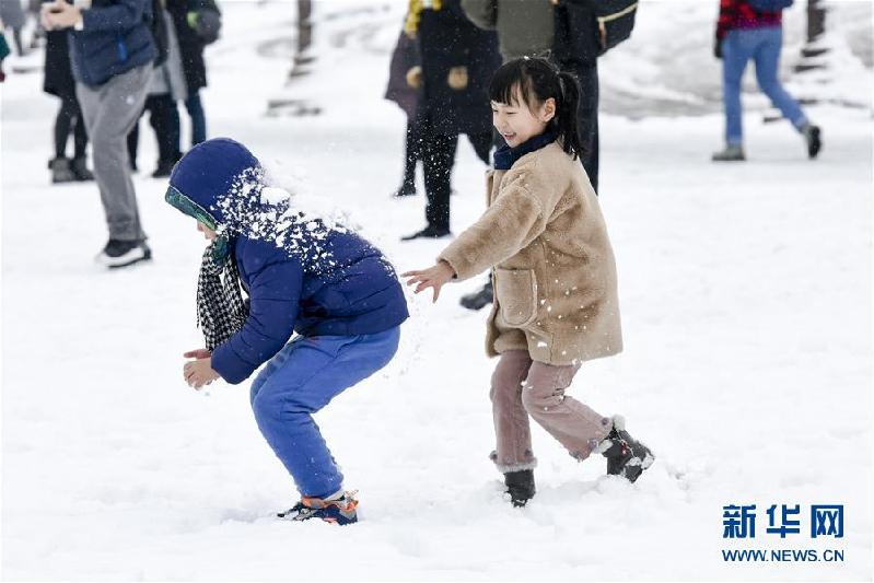 (國際)(4)雪后巴黎