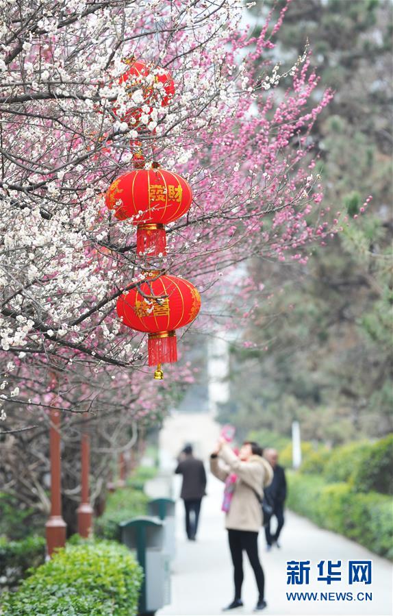 #（社會）（5）中國紅 喜迎新