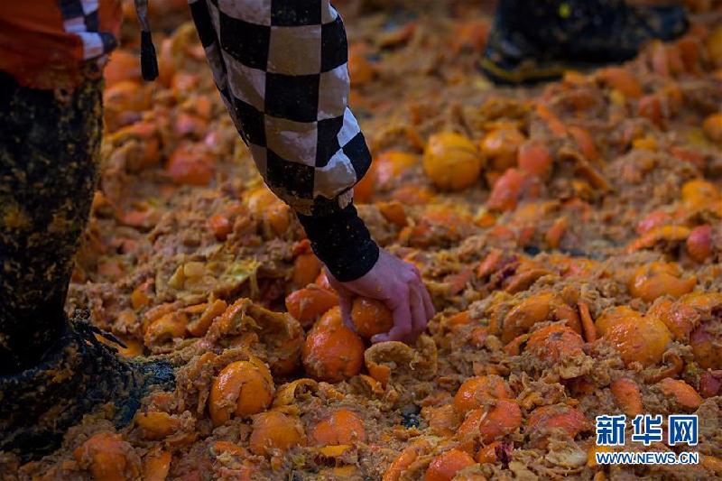 (國際)(4)意大利小鎮“橘子大戰”