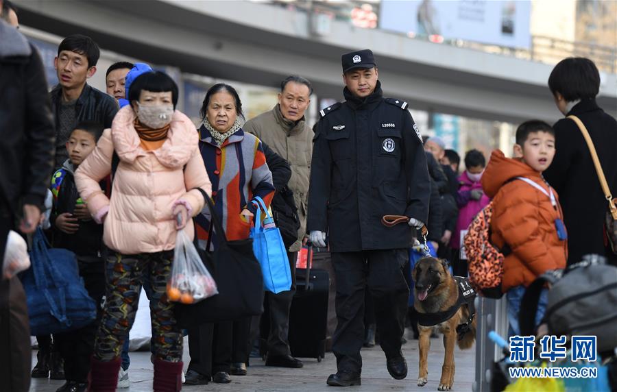 （新春走基層）（1）警犬“虎子”的新春第一班崗