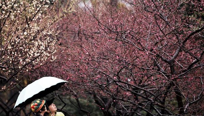 #（社會）（1）雨水潤花開