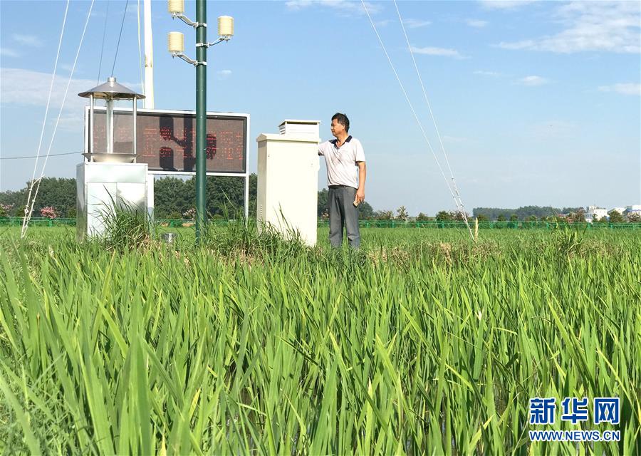 (新華全媒頭條·紀念改革開放40年特稿·圖文互動)(6)向著新航程揚帆奮進!——從小崗精神看中國改革開放40年