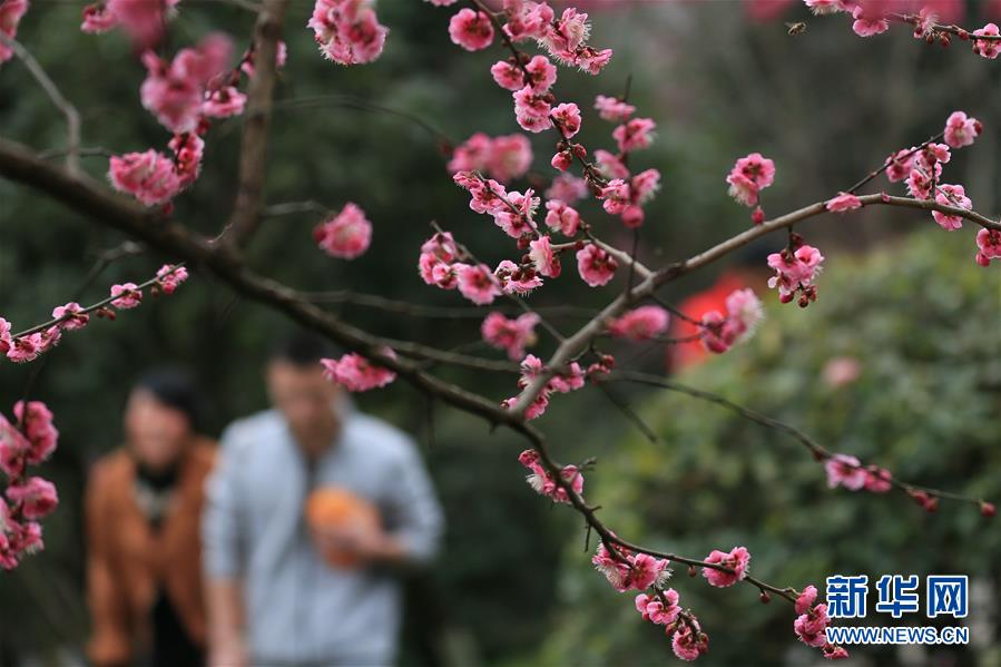 #(環(huán)境)(2)春暖花開