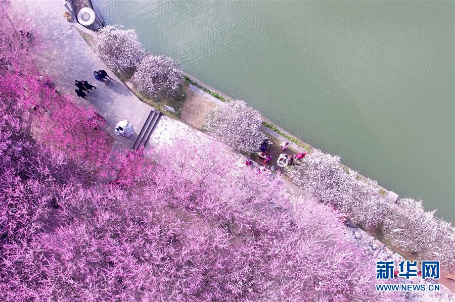 #(環(huán)境)(3)春暖花開