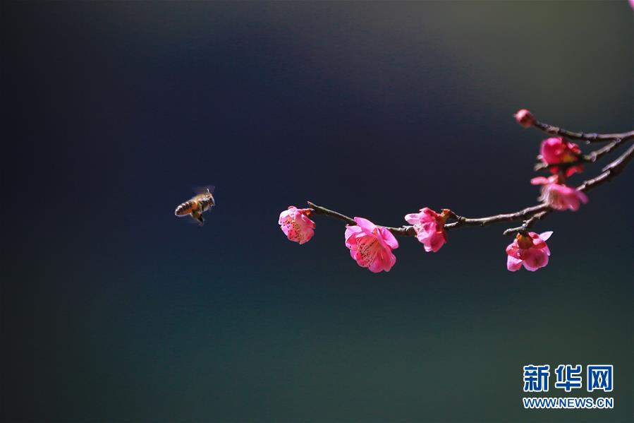 #(環(huán)境)(5)春暖花開