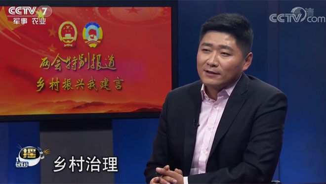 鄉村治理