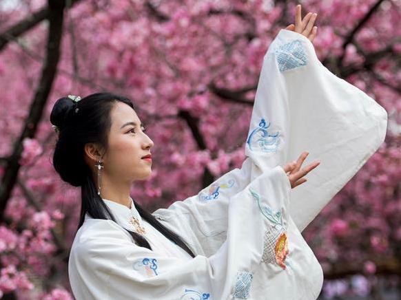 （環(huán)境）（1）櫻花海 映春光