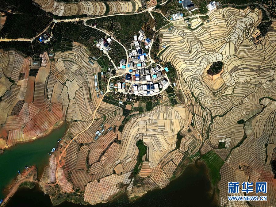 (美麗中國)(2)飛閱百色早春瓜園