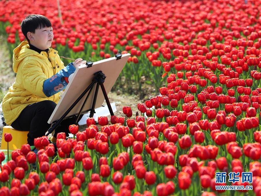 #（社會）（5）樂享春光