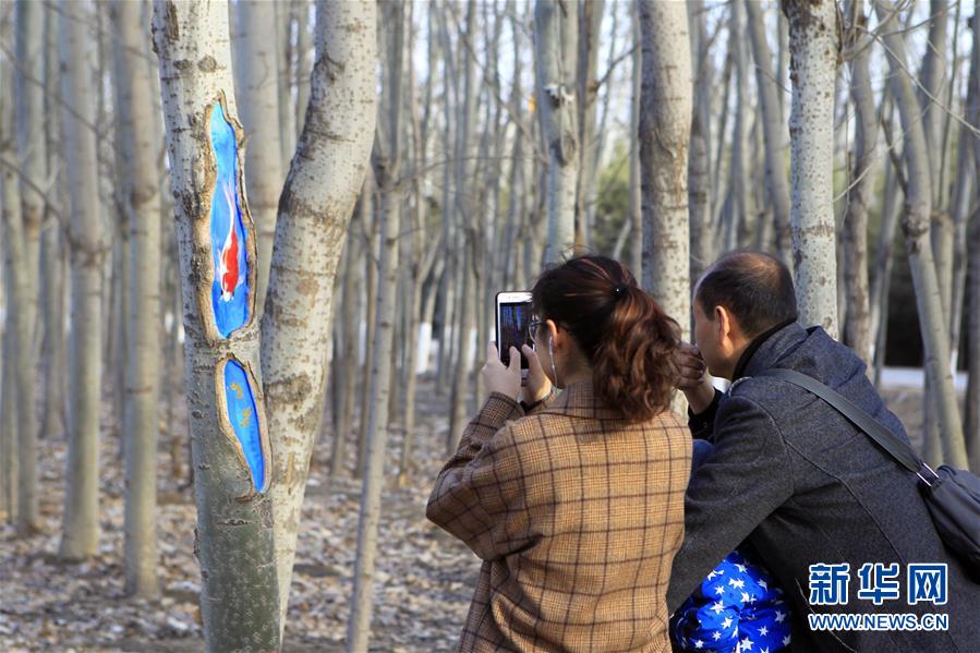 （社會）（3）手繪“樹洞畫”添彩公園