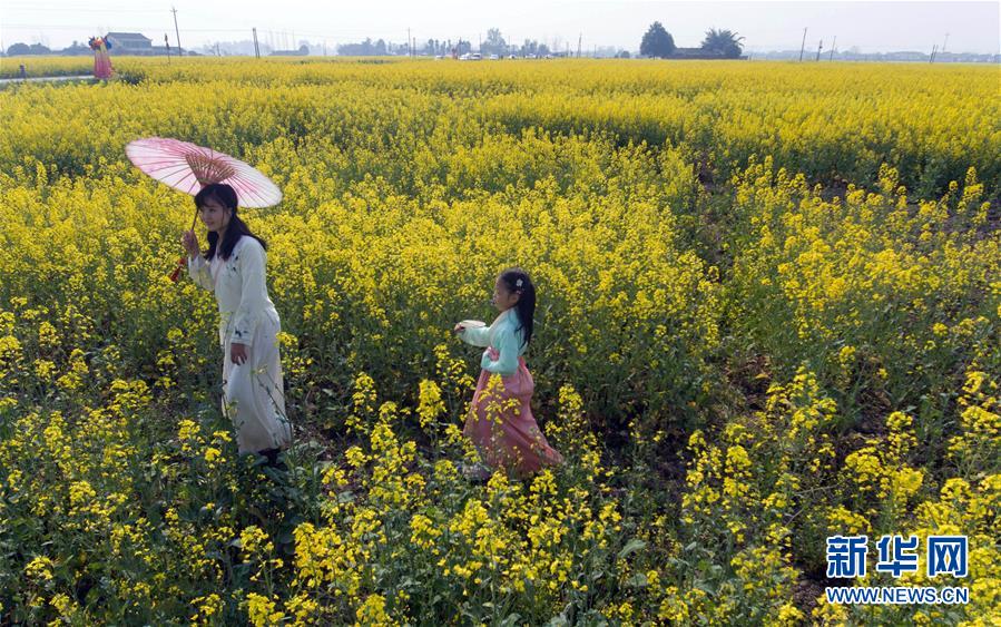 (春季美麗生態)(5)四川:以“花”為媒 實現鄉村振興