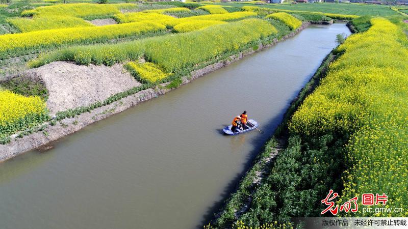 江蘇海安:“河長制”促進水清岸美民富
