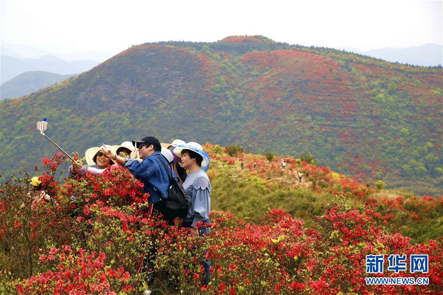 #(環境)(3)花開在四月