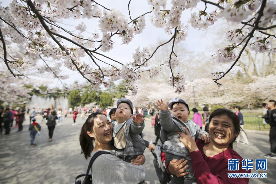 #(環境)(5)花開在四月
