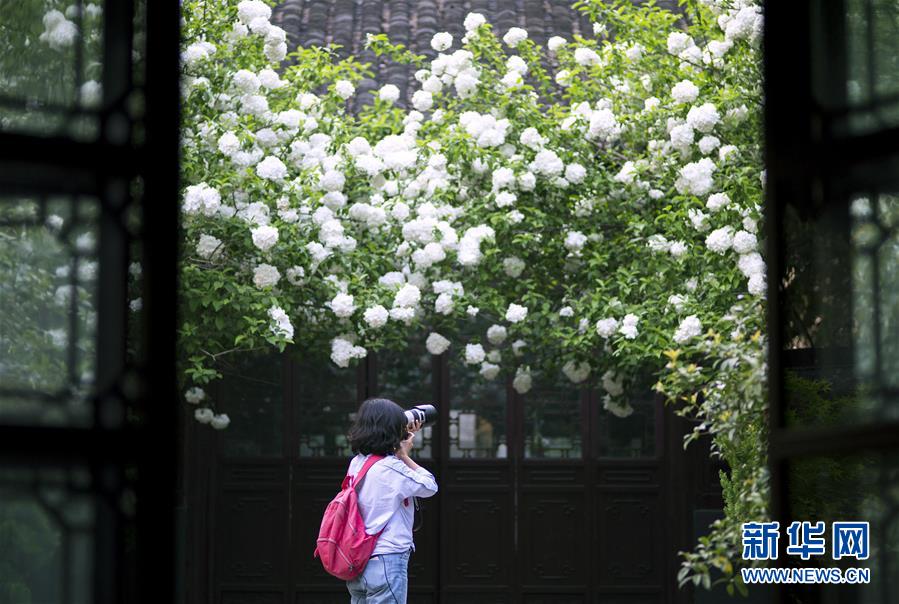#(環境)(6)花開在四月