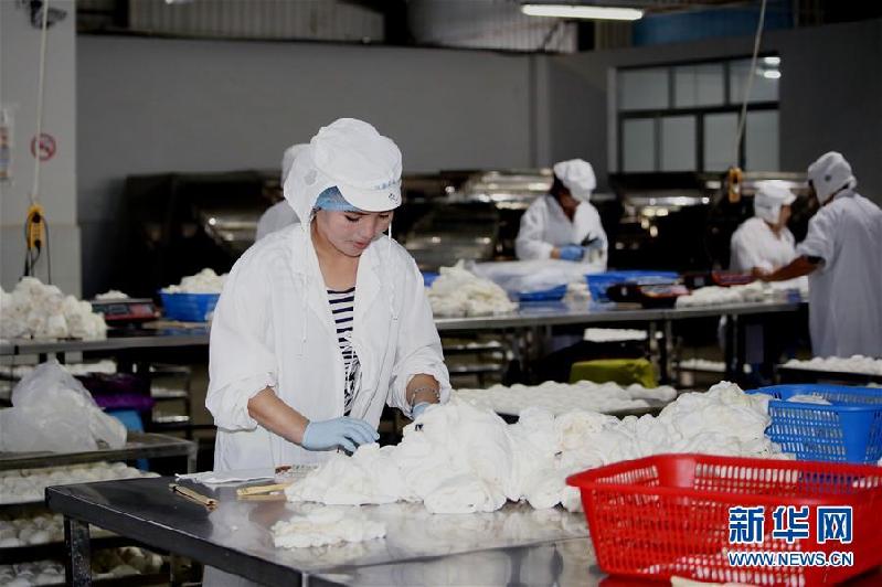 （國際）（2）烏茲別克斯坦鵬盛工業園