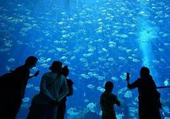 （XHDW）（8）海南打造國際旅游消費中心