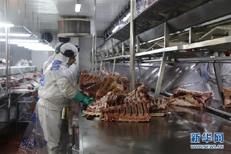 （國際·圖文互動）（2）優質南美牛肉瞄準中國餐桌