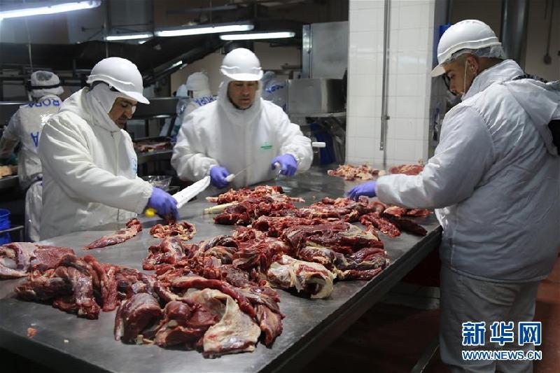 （國際·圖文互動）（1）優質南美牛肉瞄準中國餐桌