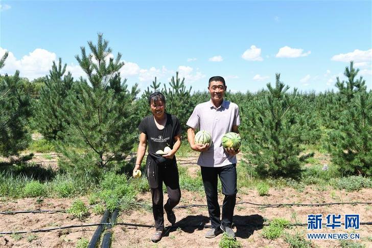 （圖片故事）（1）治沙夫妻的幸福生活